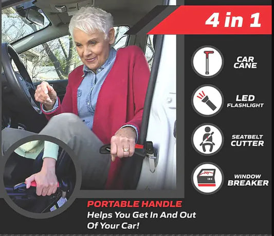 TravelSecure Car Cane