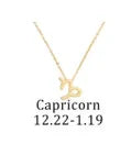 Zodiac Essence Chain