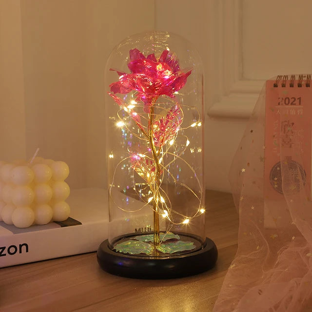 Love Story Illuminated Rose