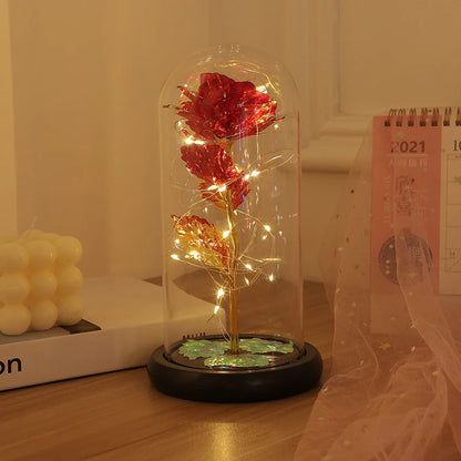 Love Story Illuminated Rose